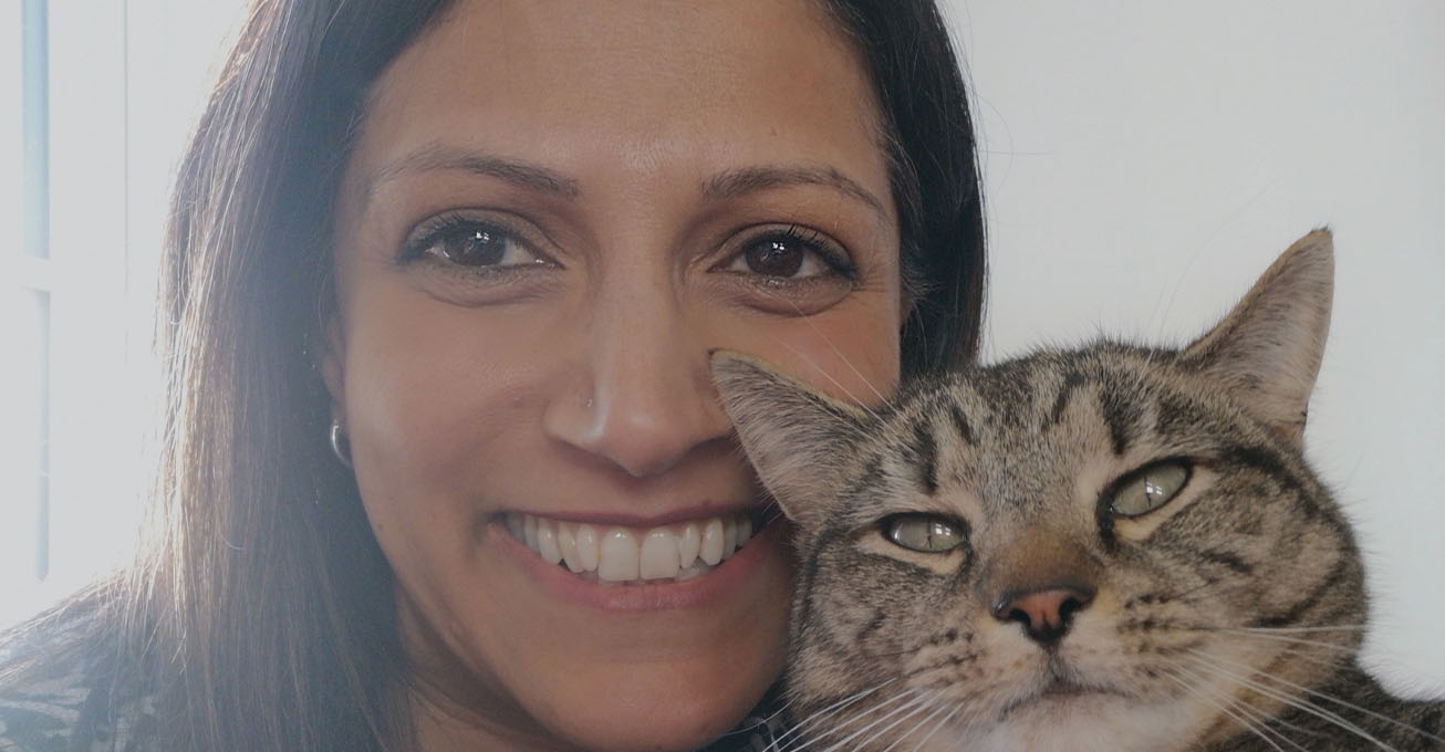 Linnaeus celebrates hitting 100th ISFM cat-friendly clinic milestone