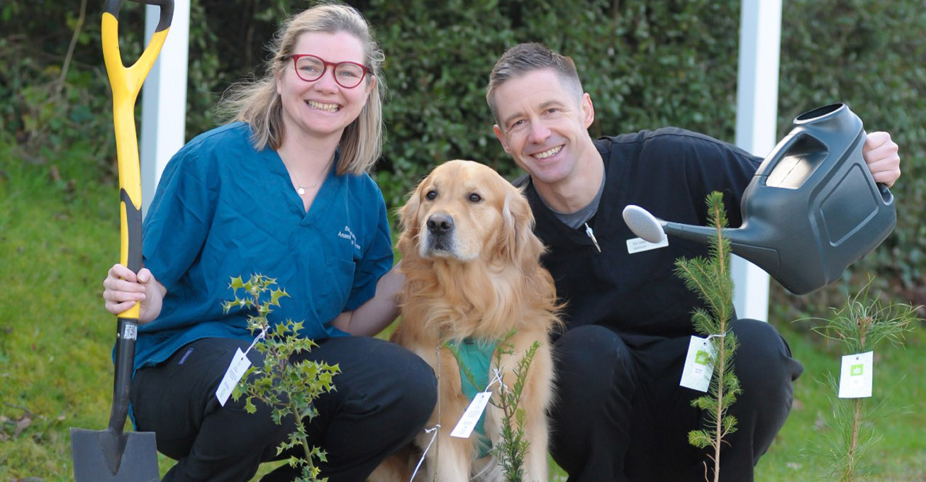 Eco-conscious Somerset vet hospital hits milestone of 250 trees planted in 2022