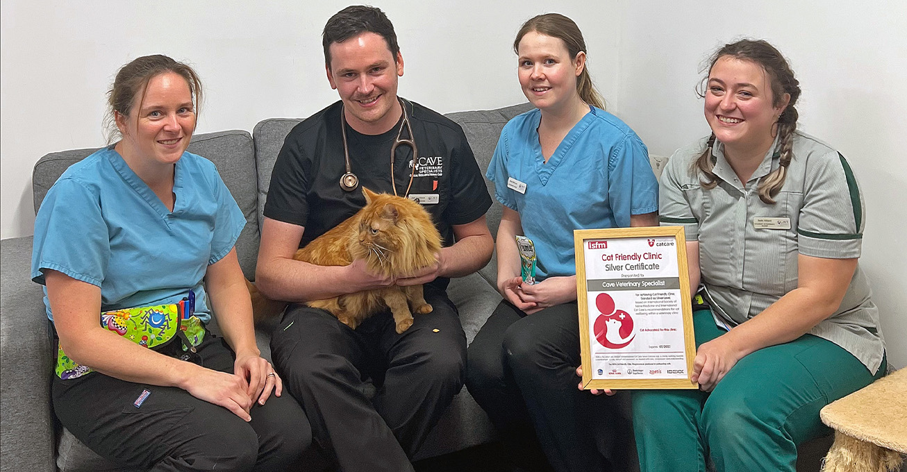 Cats gets the cream at Somerset vets after national award win