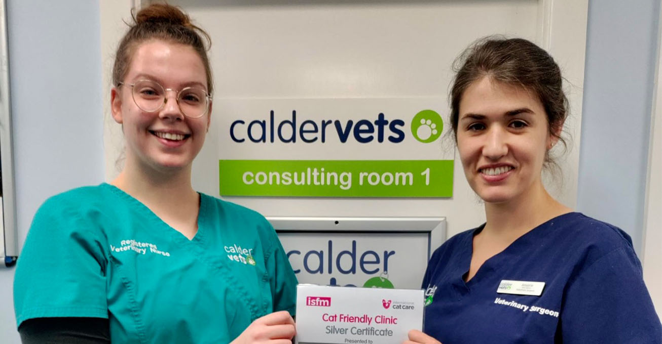 Award-winning Calder Vets ‘purring’ with delight as cats get silver service