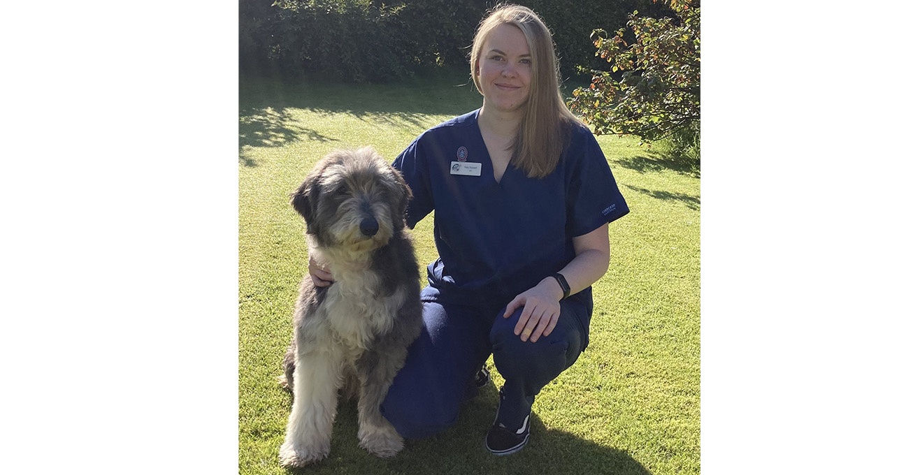 Glasgow vet practice is top dog for canine welfare