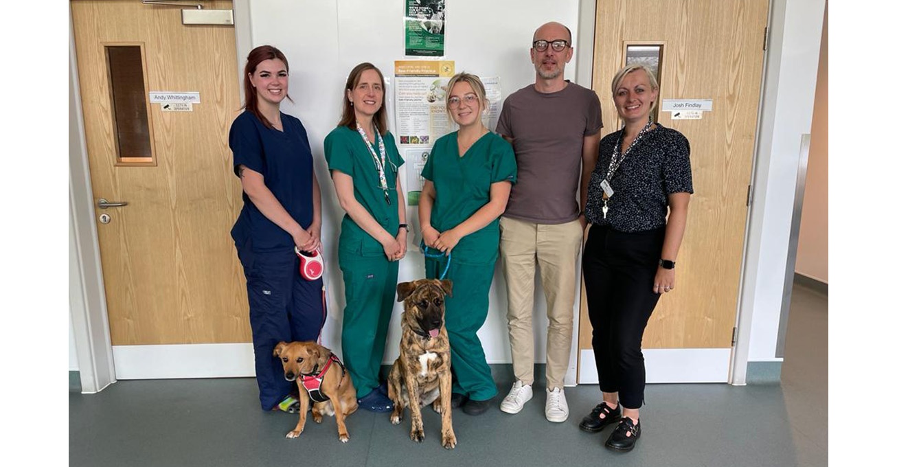 Staffordshire animal hospital honoured with prestigious award for its high quality of care for dogs