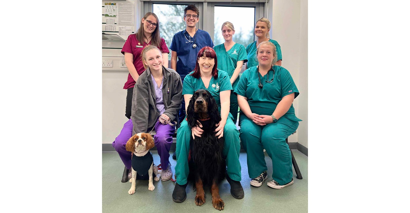 Leicestershire vet practice is top dog for canine welfare