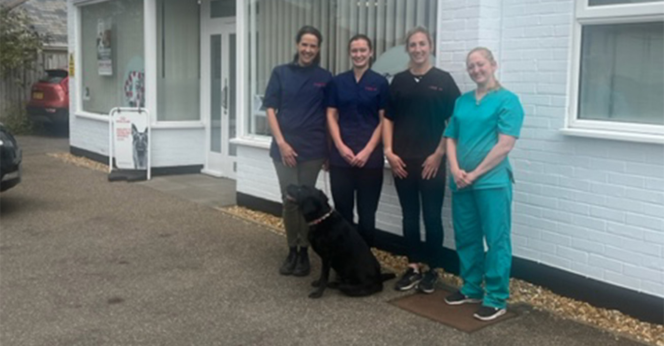 Cambridgeshire veterinary professionals pounded the streets for street charity
