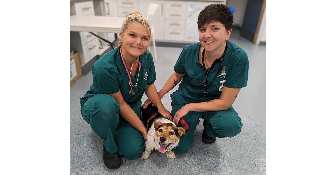 Vet practice in Ashby-de-la-Zouch uses new healing techniques to treat dog with cancer in his tail