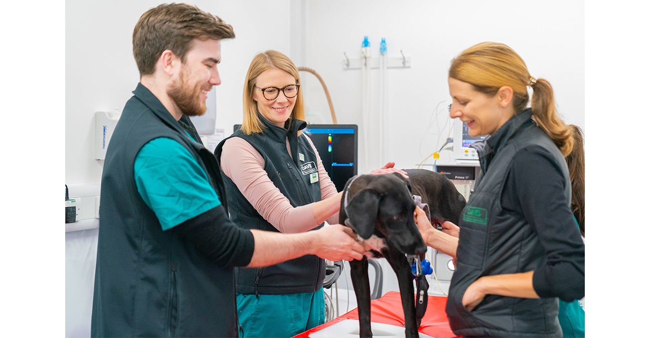 Puppies and kittens beating a path to Hertfordshire heart murmur clinic