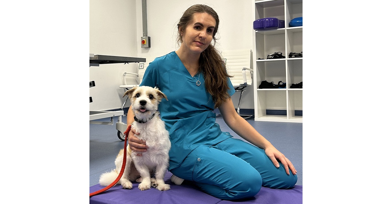 Newly-launched veterinary physio service at West Midlands Veterinary Referrals