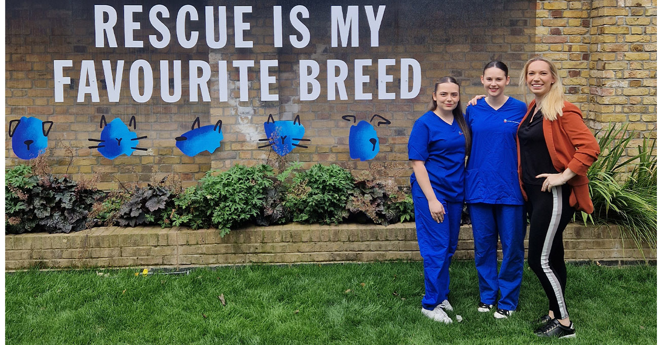 Caring team from London animal hospital volunteer at Battersea Dogs and Cats Home