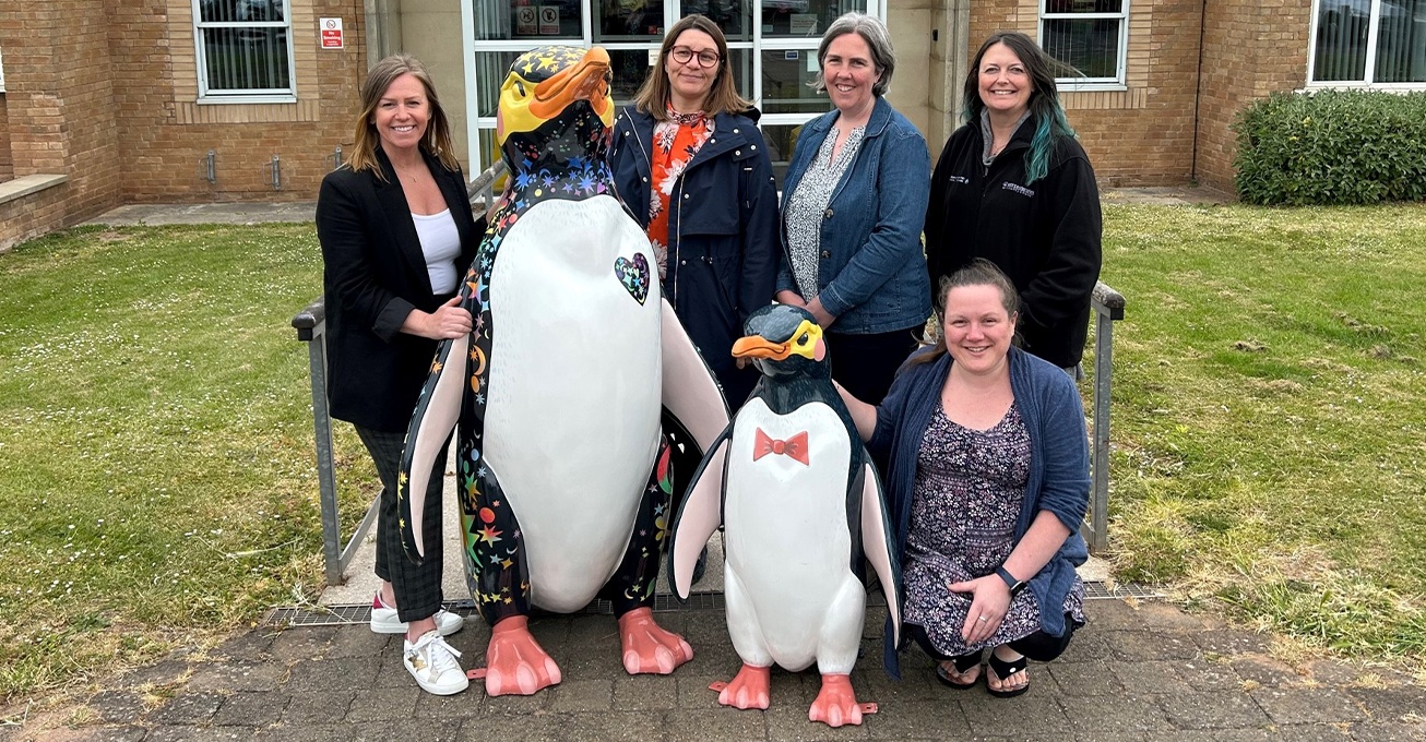 Learning organisations help penguins multiply for art trail