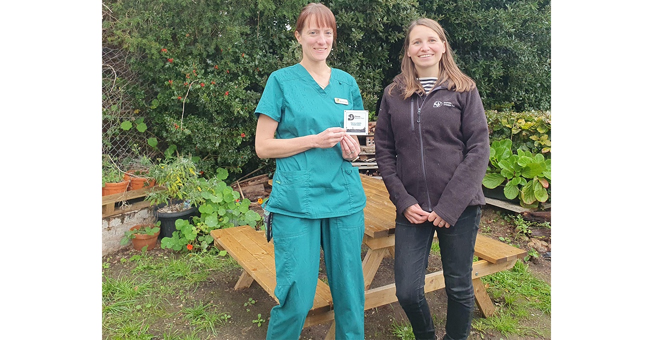 Green fingered Exeter vets go wild to create friendly space