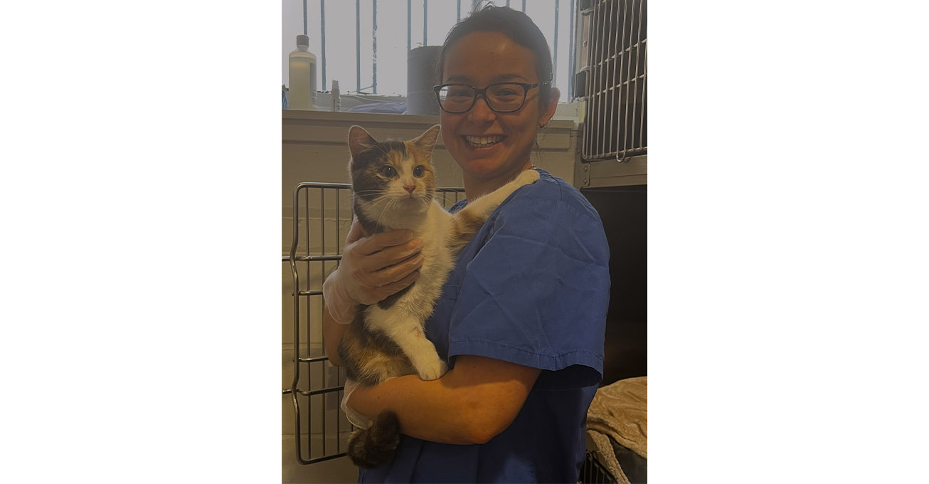Feline friendly Scotstoun vet practice receives national cat accolade
