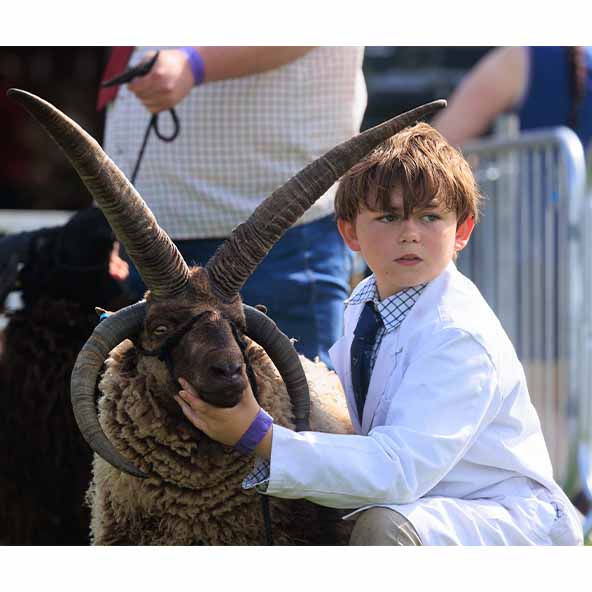 Nottinghamshire County Show is hailed a success as attendance booms and more competitors flock to take part