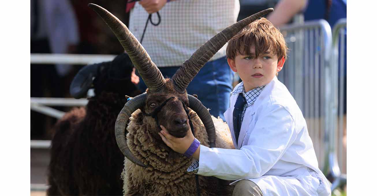 Nottinghamshire County Show is hailed a success as attendance booms and more competitors flock to take part