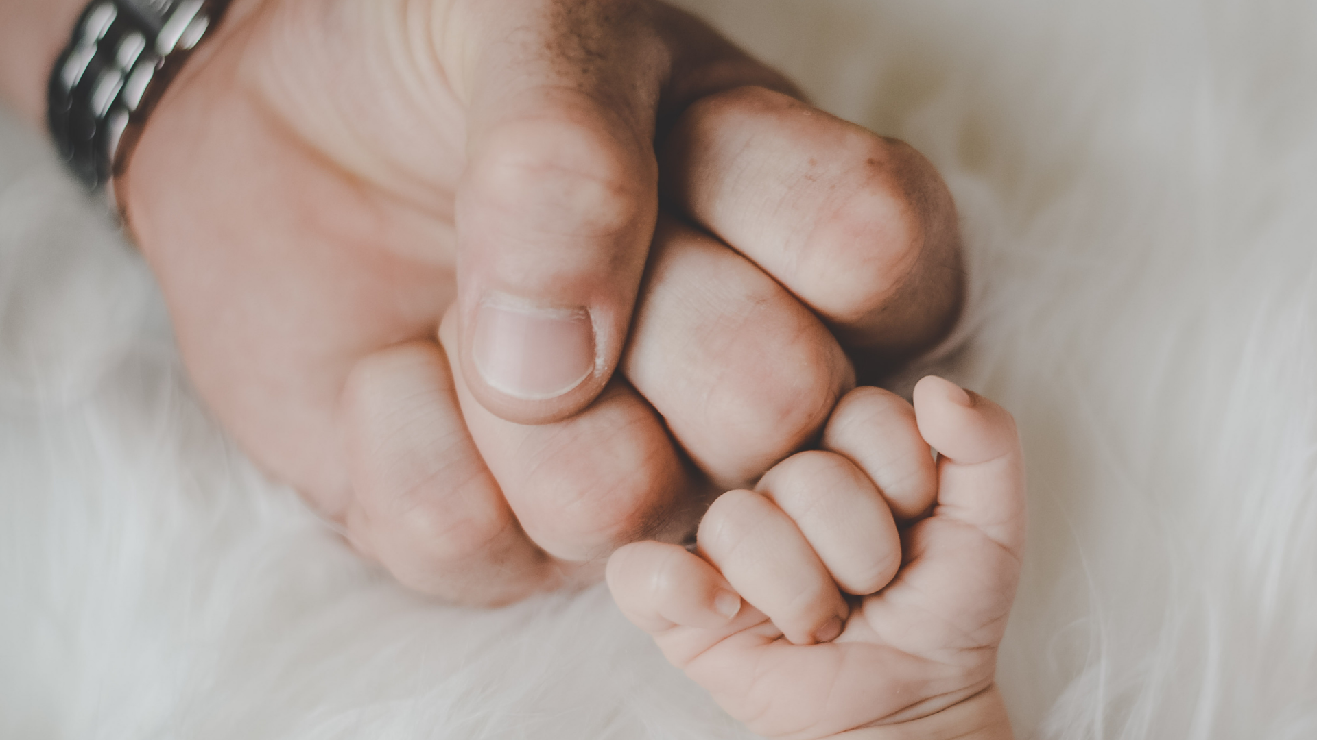 Fathers Day Gift Ideas